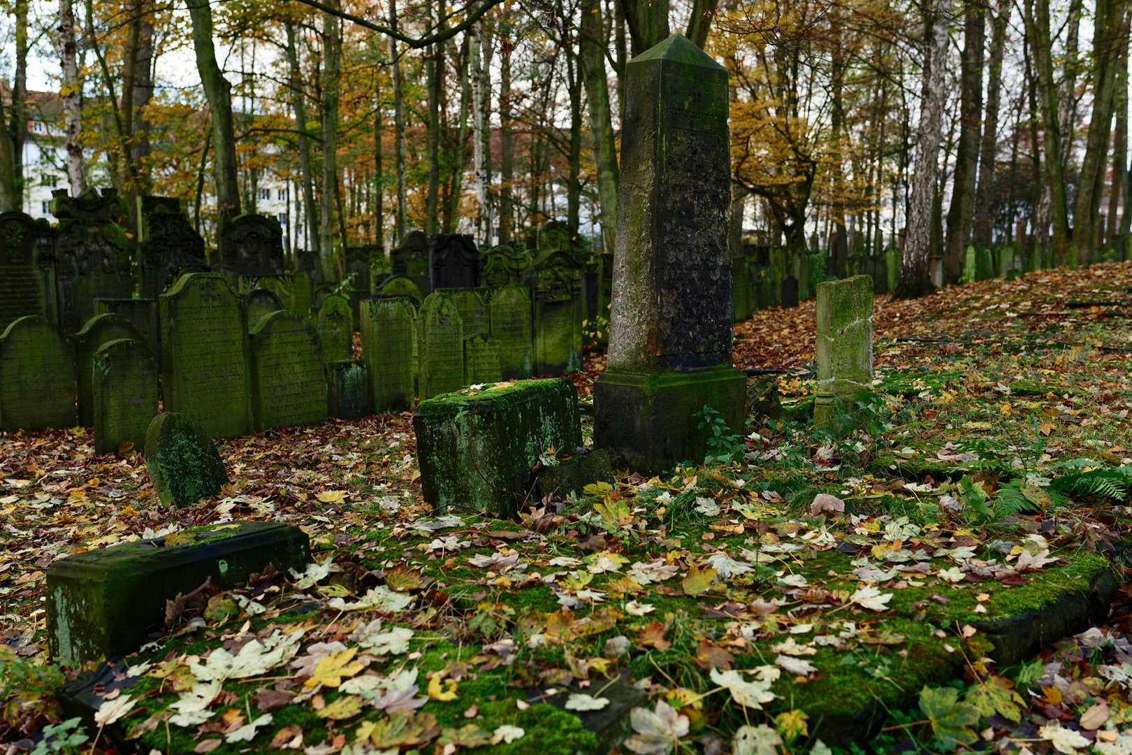 Jüdischer Friedhof Altona