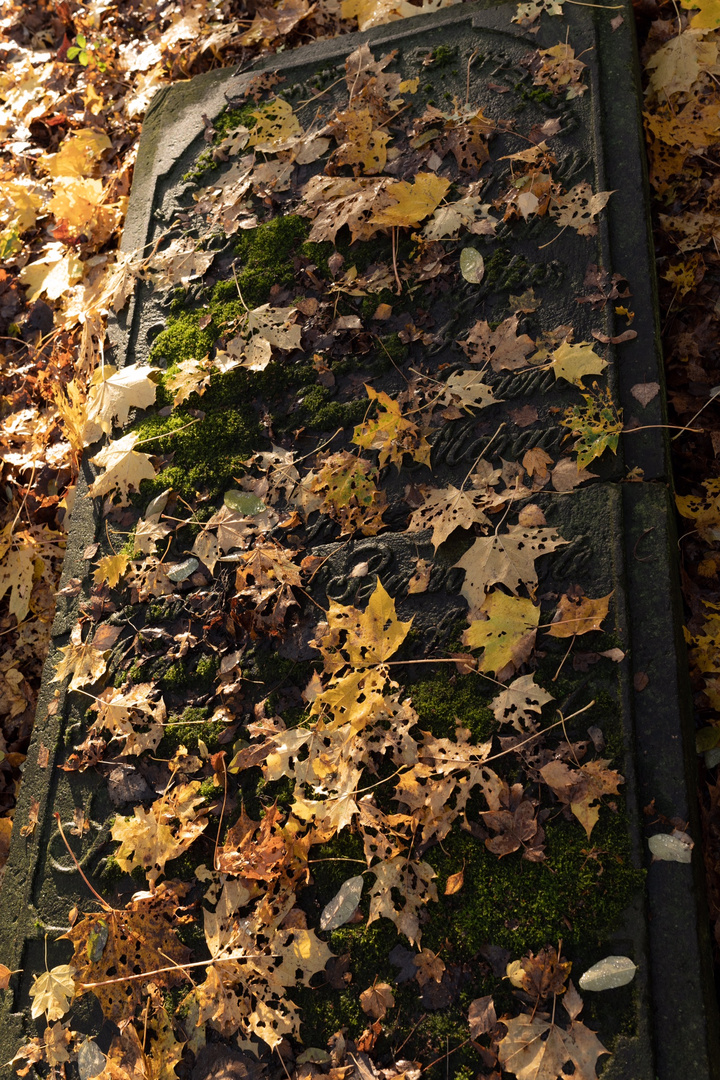 Jüdischer Friedhof Altona