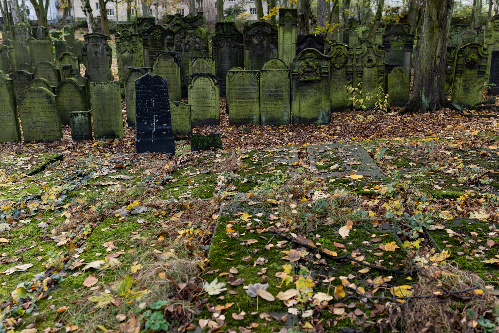 Jüdischer Friedhof Altona