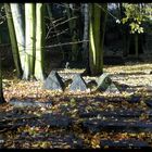 Jüdischer Friedhof Altona ...