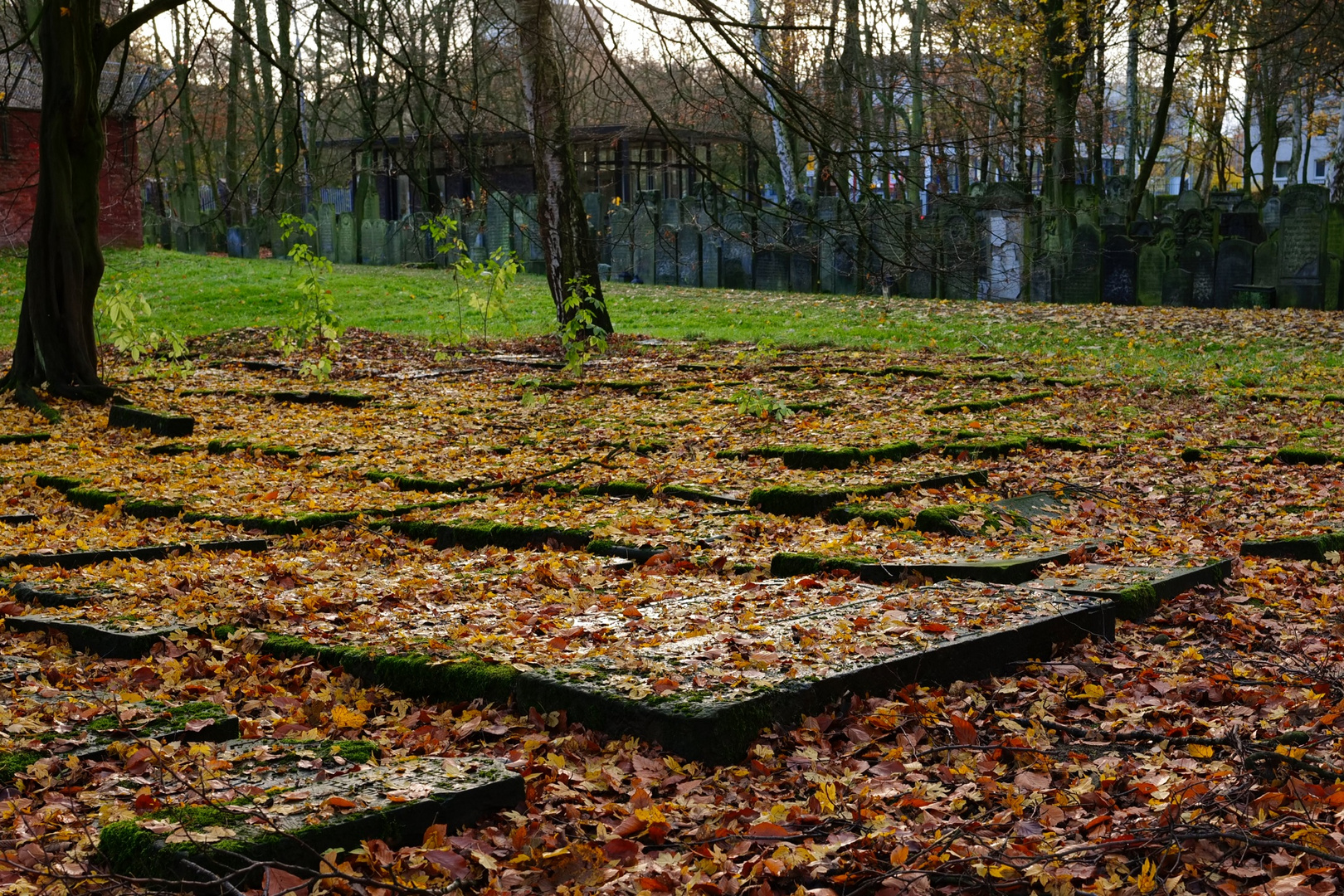 Jüdischer Friedhof Altona