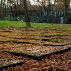 Jüdischer Friedhof Altona