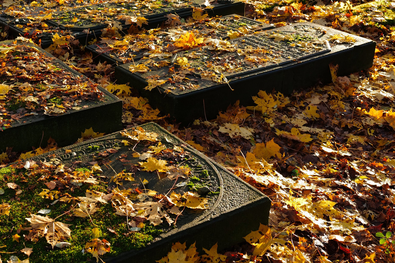 Jüdischer Friedhof Altona