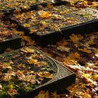 Jüdischer Friedhof Altona