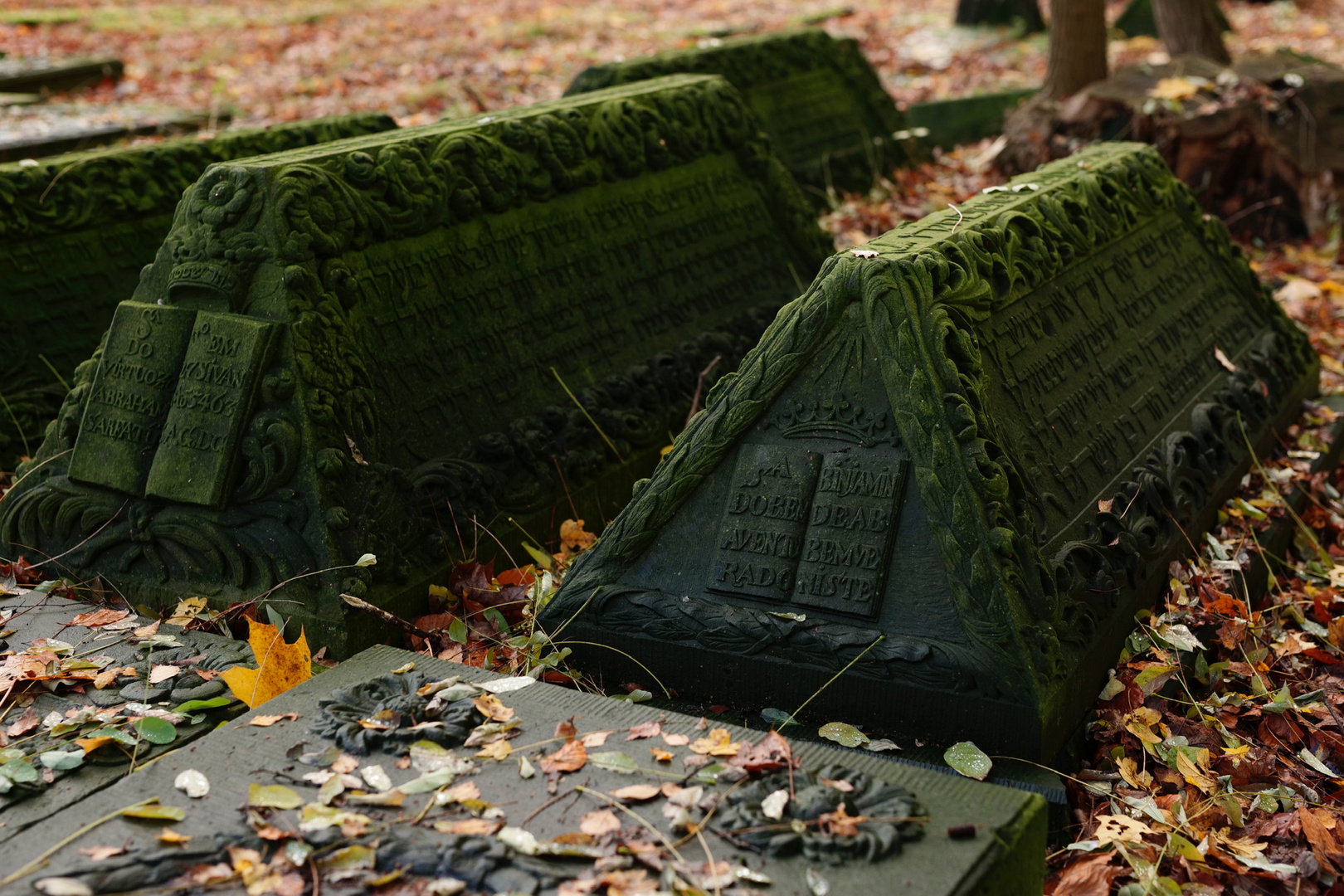 Jüdischer Friedhof Altona