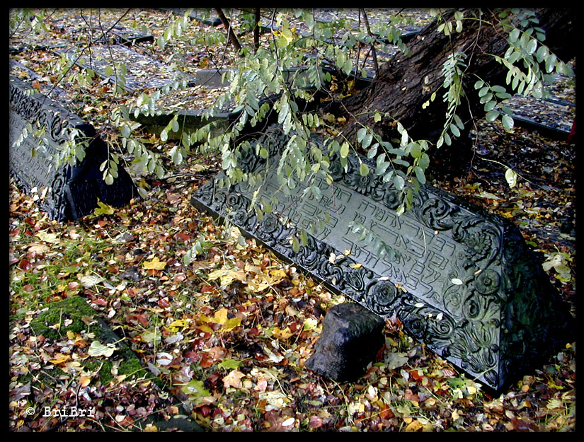 Jüdischer Friedhof Altona .