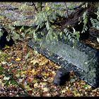 Jüdischer Friedhof Altona .