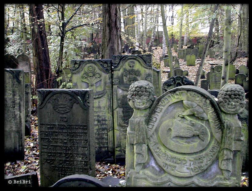 Jüdischer Friedhof Altona ... ashkenasische Gräber