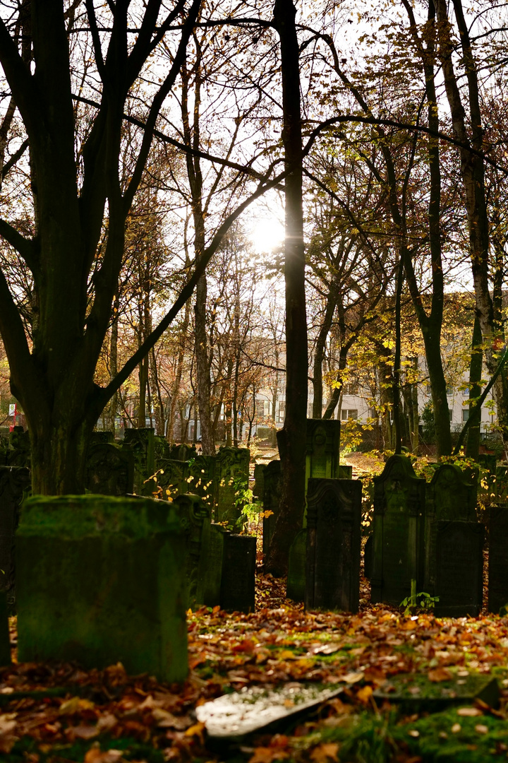 Jüdischer Friedhof Altona