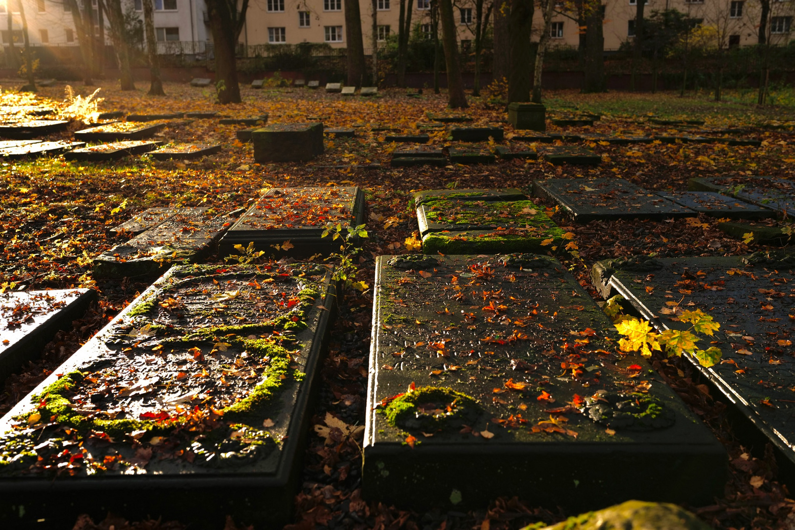 Jüdischer Friedhof Altona