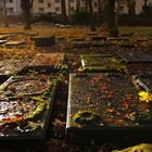 Jüdischer Friedhof Altona