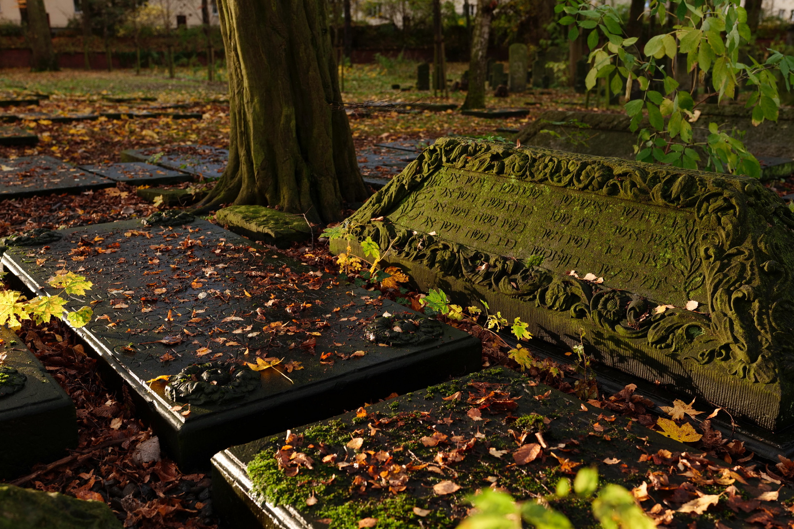 Jüdischer Friedhof Altona