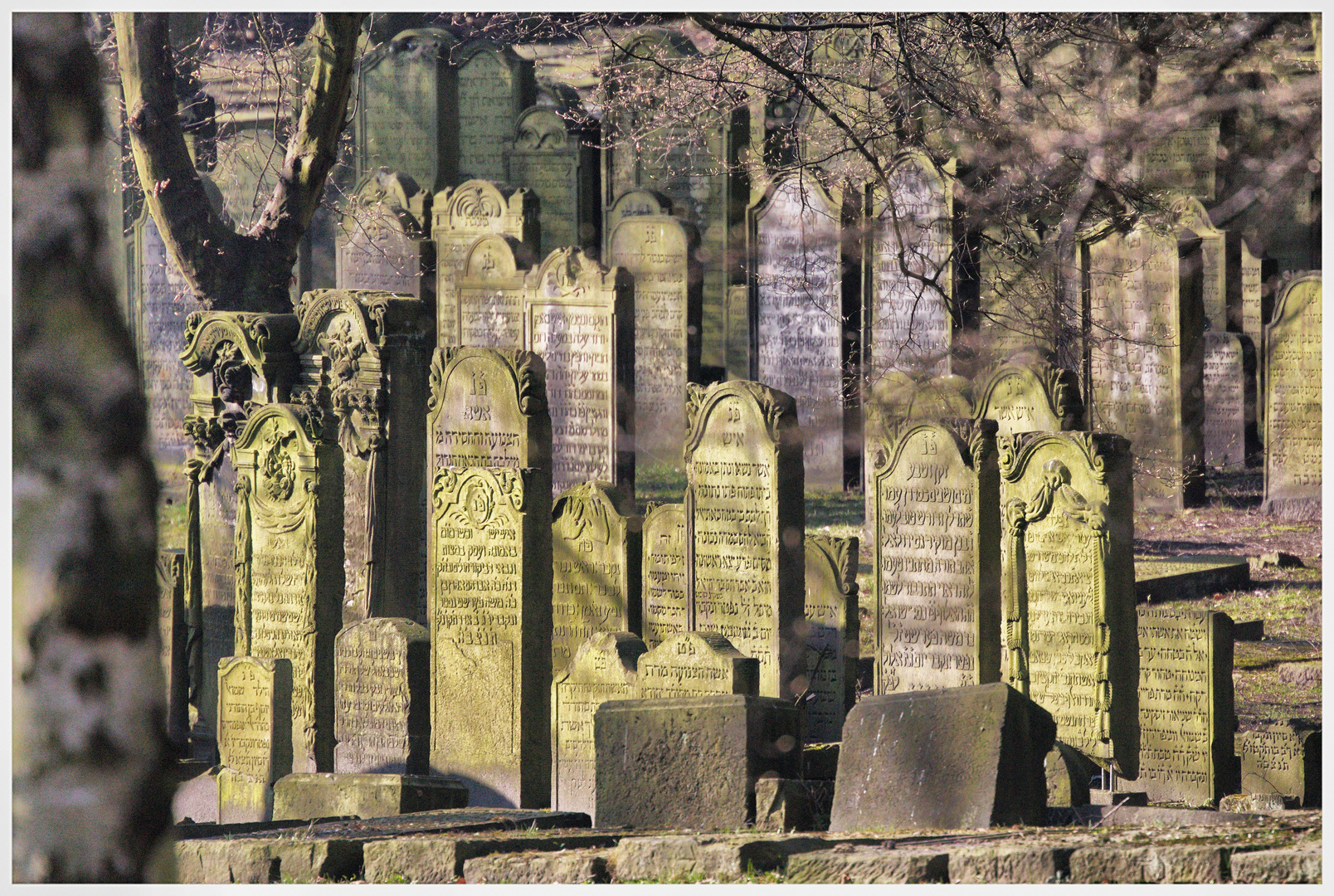 Jüdischer Friedhof Altona