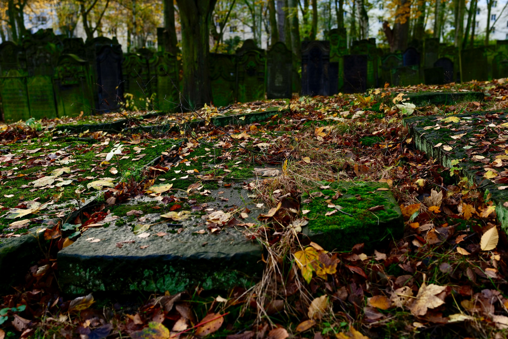 Jüdischer Friedhof Altona