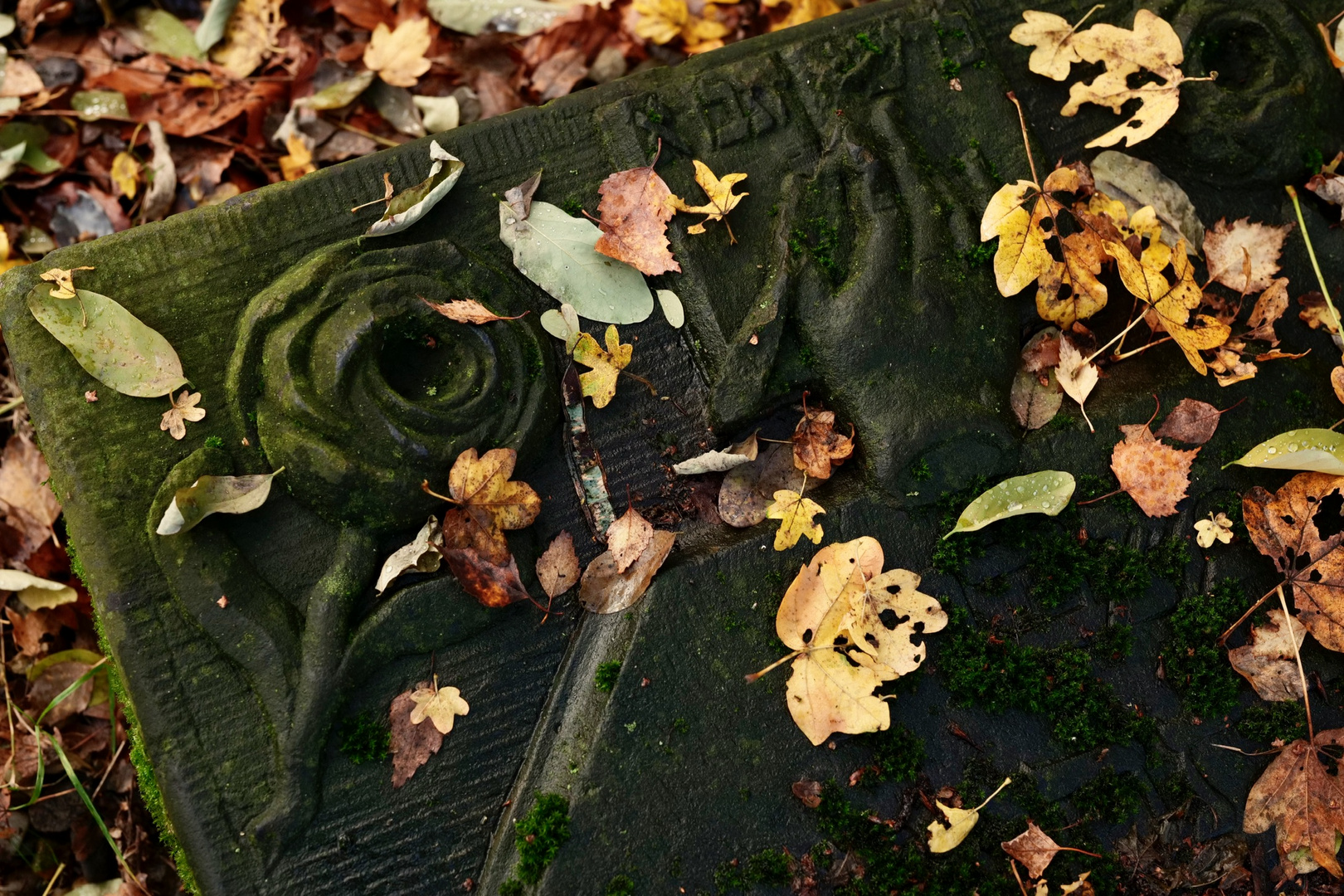 Jüdischer Friedhof Altona