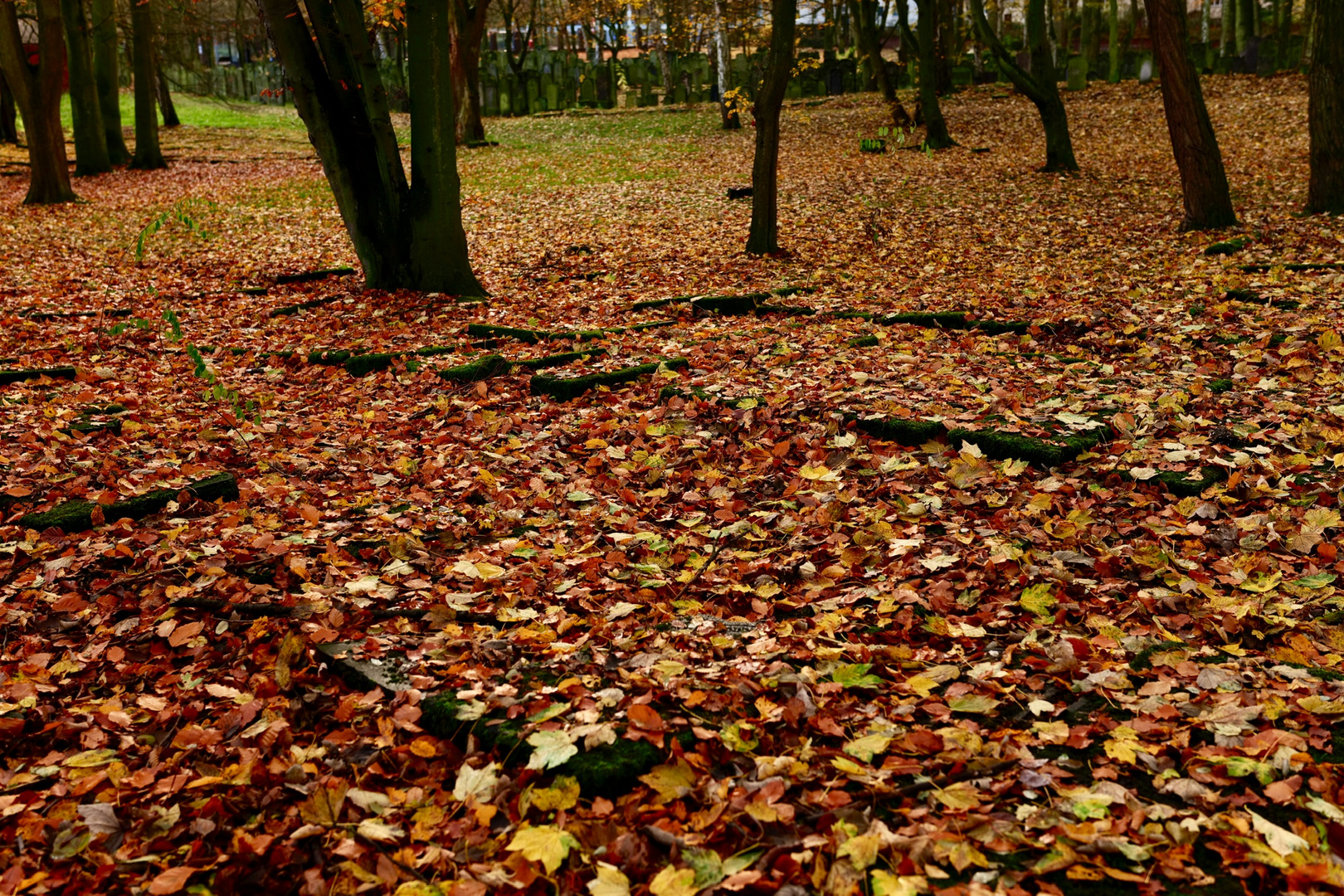 Jüdischer Friedhof Altona