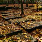 Jüdischer Friedhof Altona