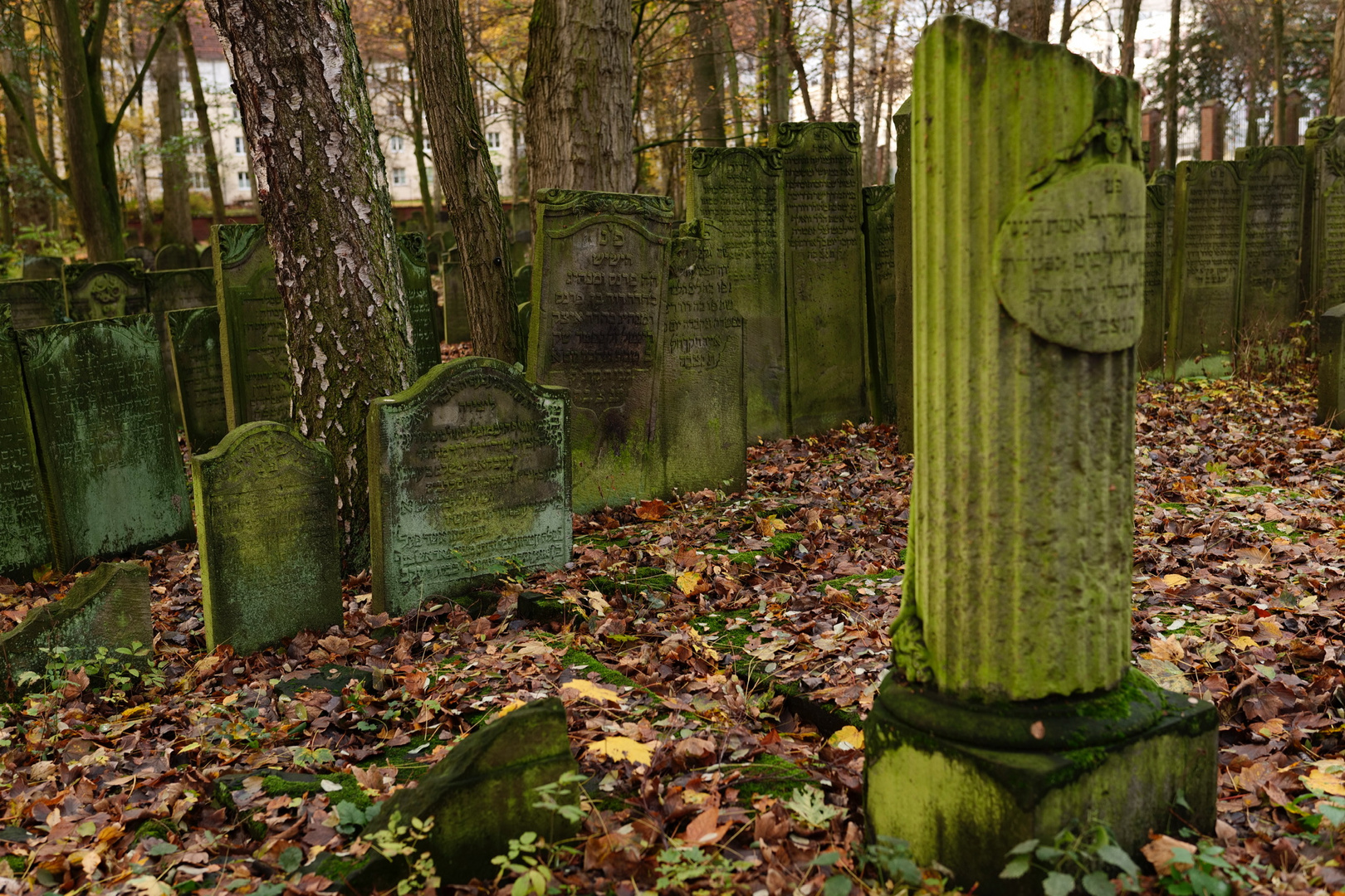 Jüdischer Friedhof Altona