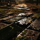 Jüdischer Friedhof Altona