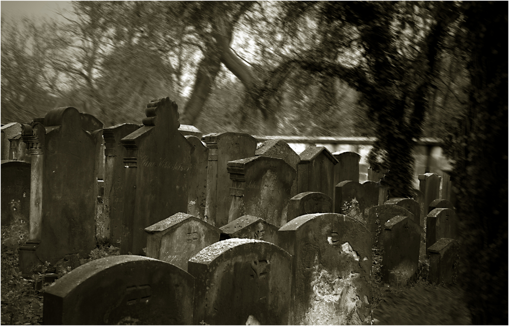 Jüdischer Friedhof am Berge 1