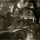 Jüdischer Friedhof am Berge 1