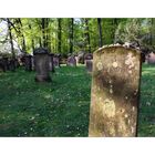 < Jüdischer Friedhof am Blomericher Weg >