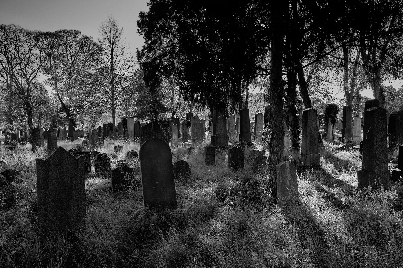 Jüdischer Friedhof am Zentralfriedhof