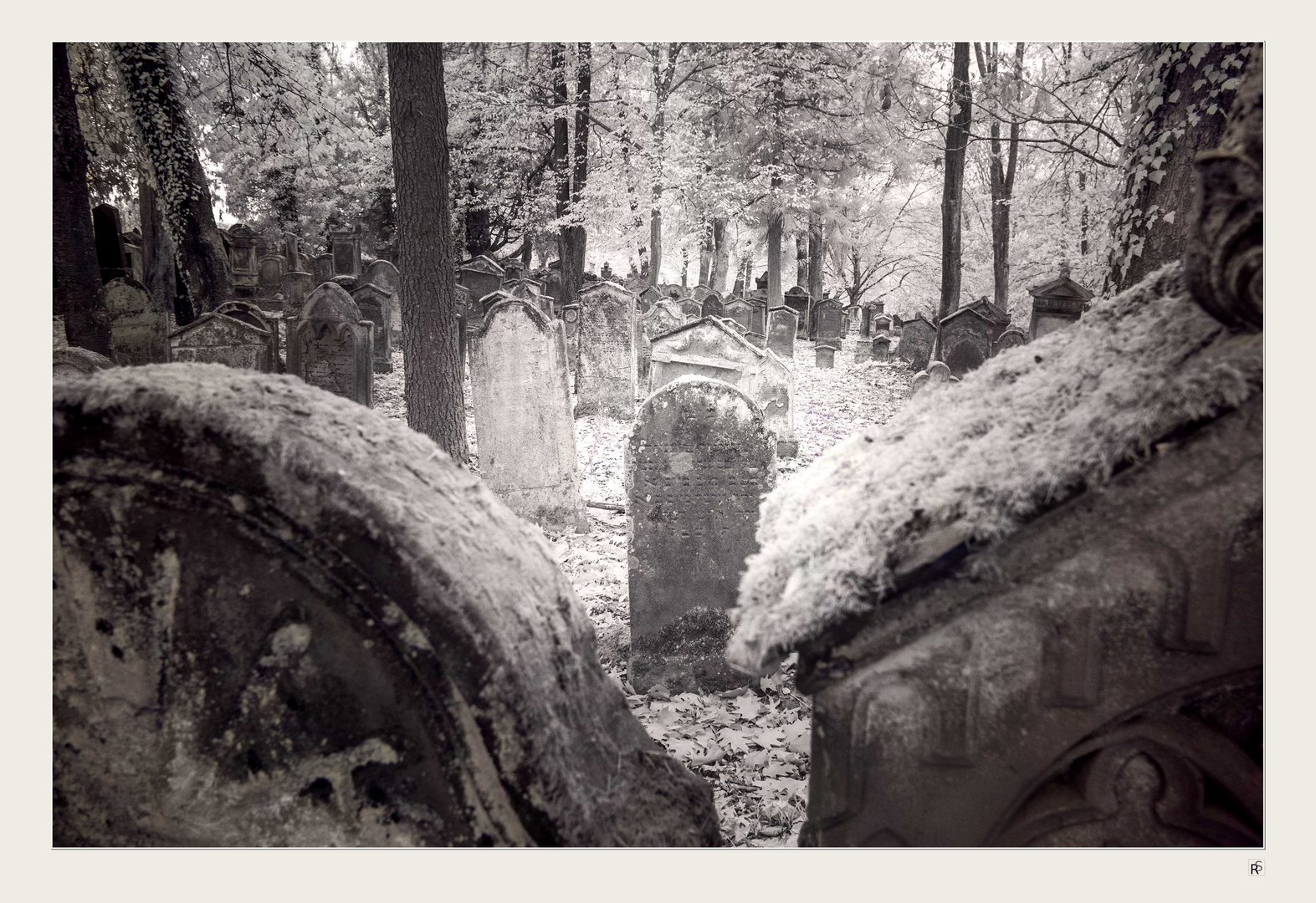 Jüdischer Friedhof 