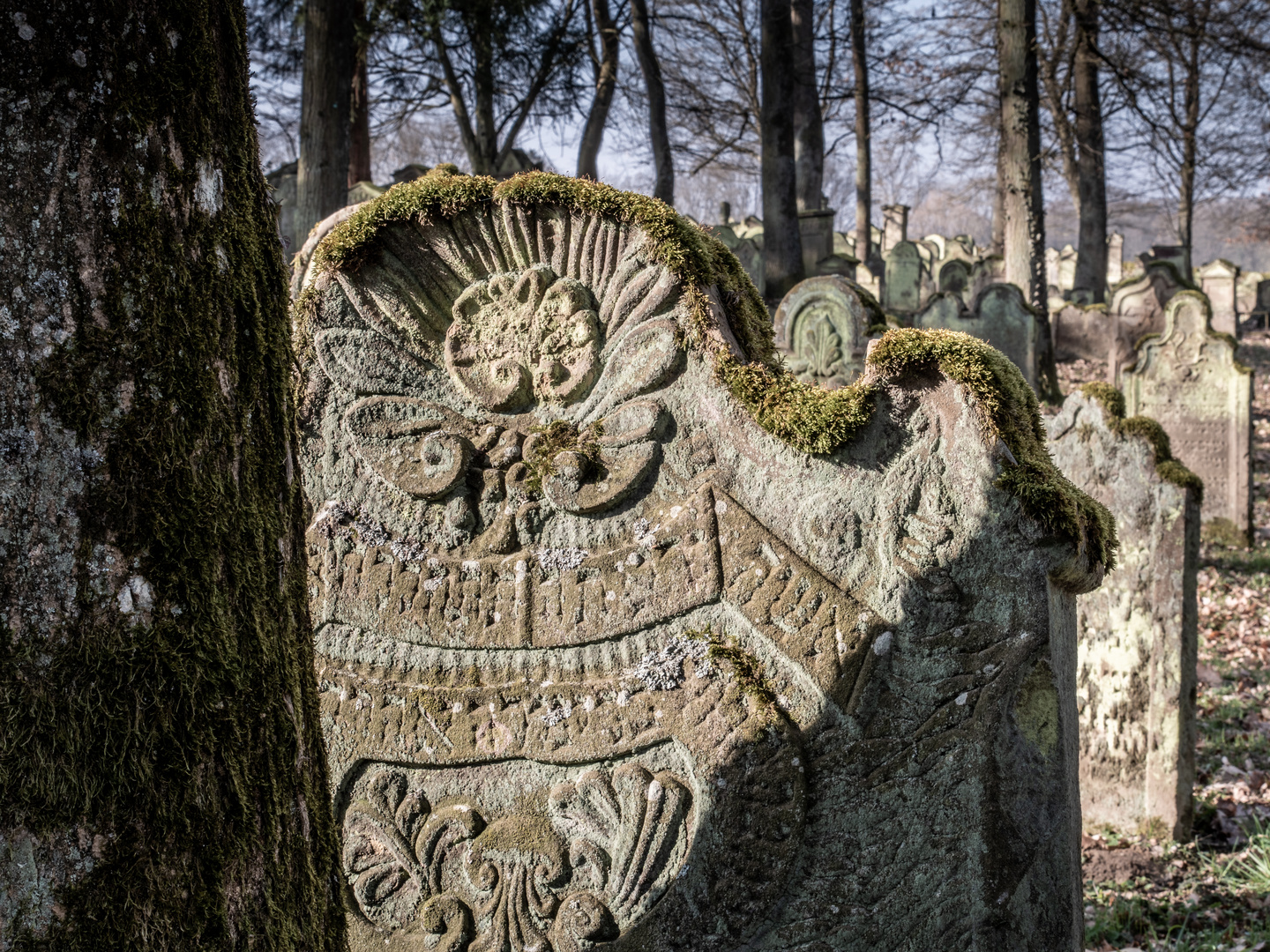 Jüdischer Friedhof Bad Rappenau