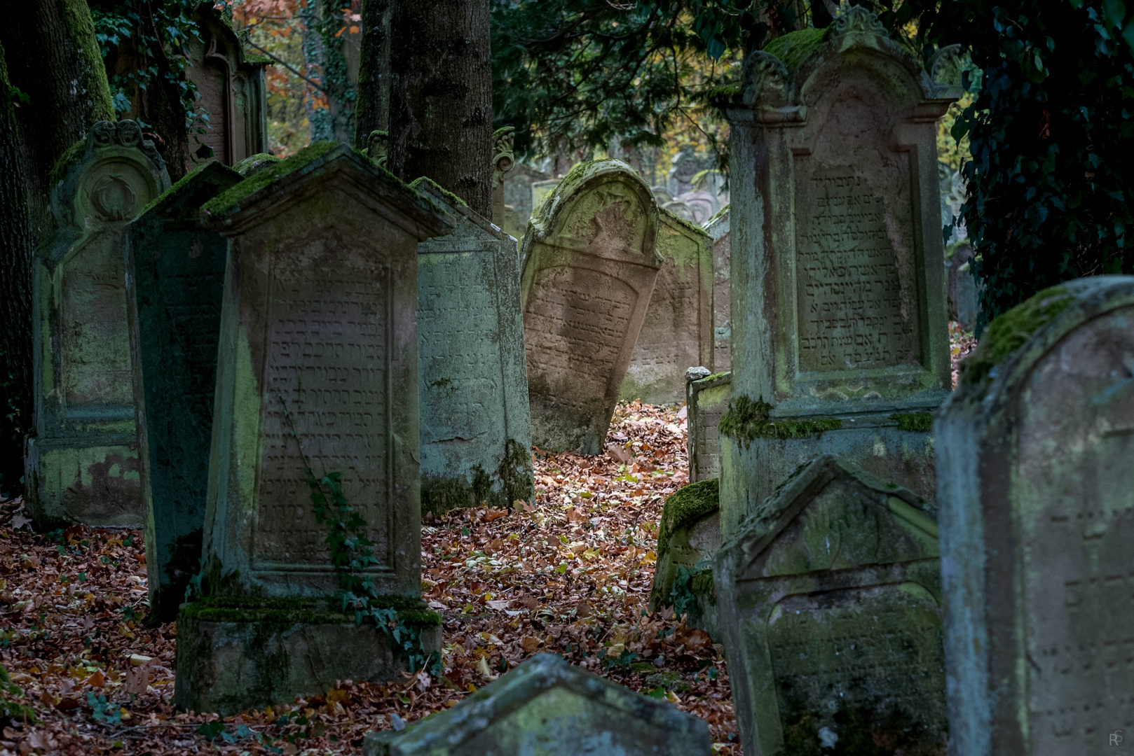 Jüdischer Friedhof Bad Rappenau-Heinsheim