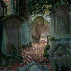 Jüdischer Friedhof Bad Rappenau-Heinsheim