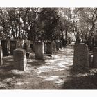 Jüdischer Friedhof Bad Soden