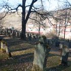 Jüdischer Friedhof bei Buttenhausen (Münsingen)