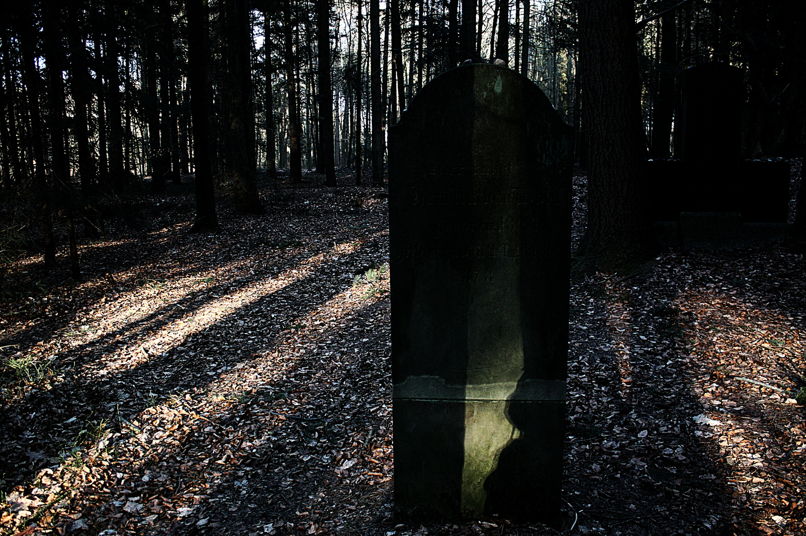 Jüdischer Friedhof bei Wingst