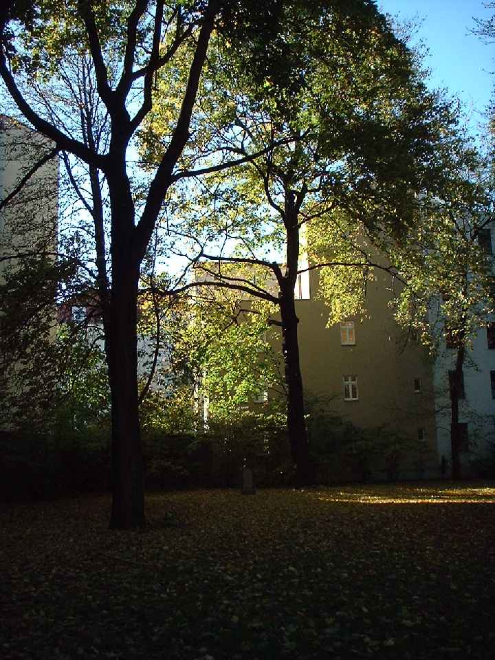 Jüdischer Friedhof Berlin