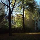 Jüdischer Friedhof Berlin