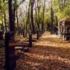 Jüdischer Friedhof - Berlin Weißensee, 1