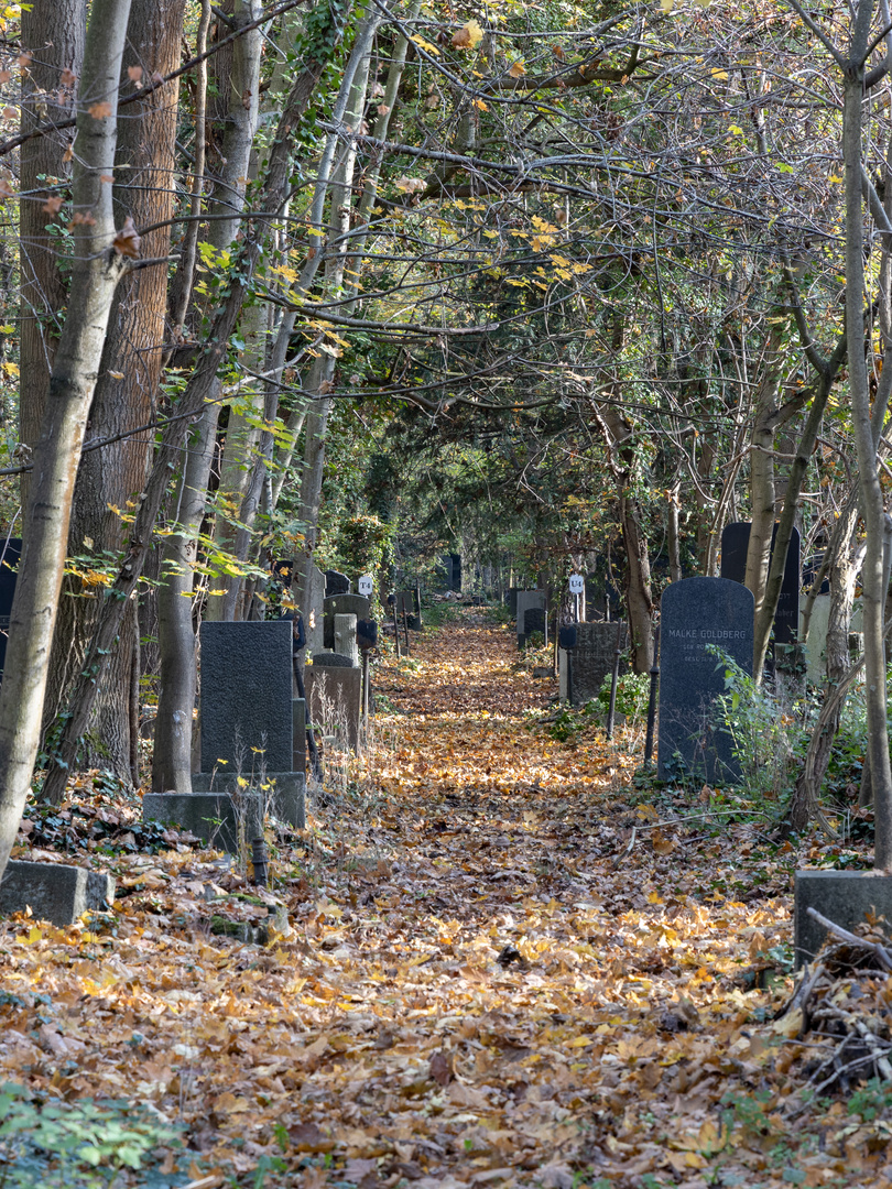 jüdischer Friedhof Berlin-Weissensee