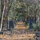 jüdischer Friedhof Berlin-Weissensee