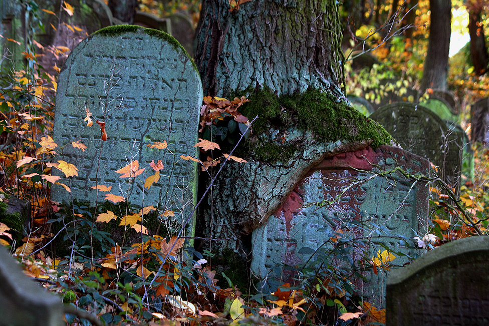 Jüdischer Friedhof Bingen