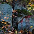 Jüdischer Friedhof Bingen