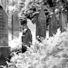 Jüdischer Friedhof Bückeburg