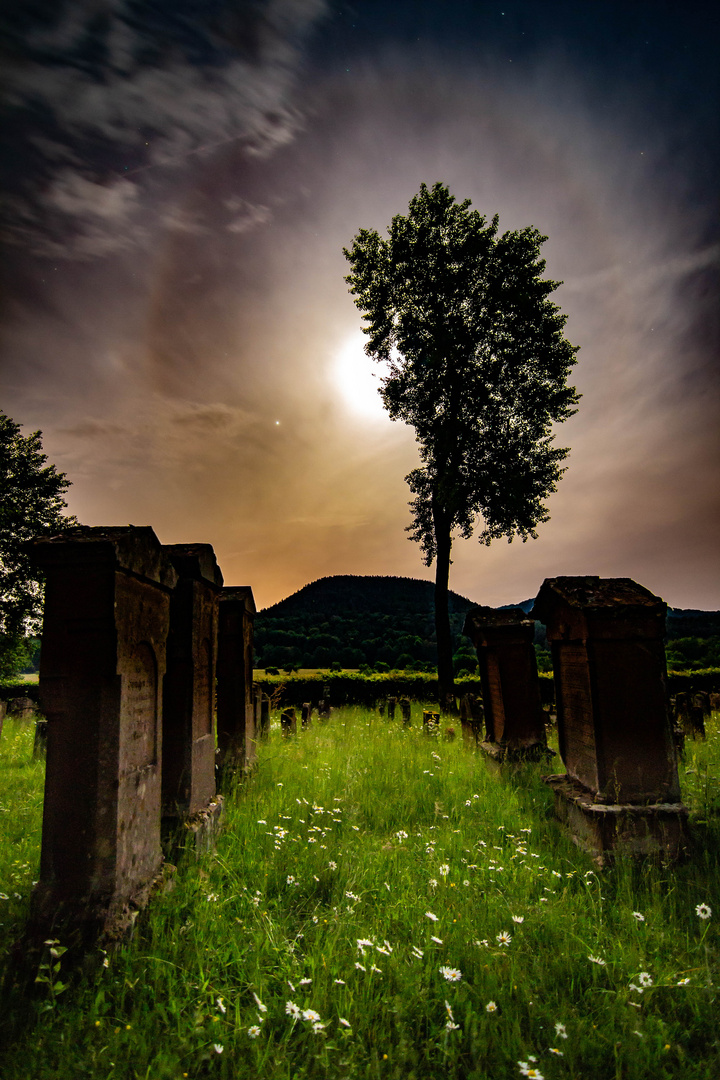 Jüdischer Friedhof (Busenberg)