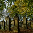 Jüdischer Friedhof Buttenheim