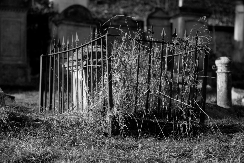 jüdischer friedhof frauenberg #4