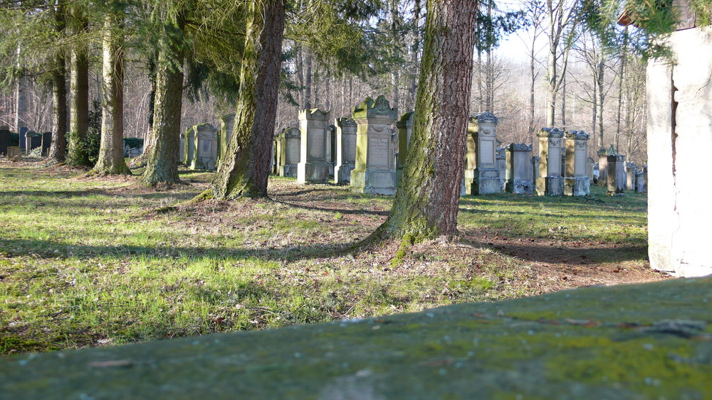 Jüdischer Friedhof Freudental II