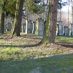 Jüdischer Friedhof Freudental II