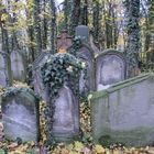 Jüdischer Friedhof Fürth/Bayern