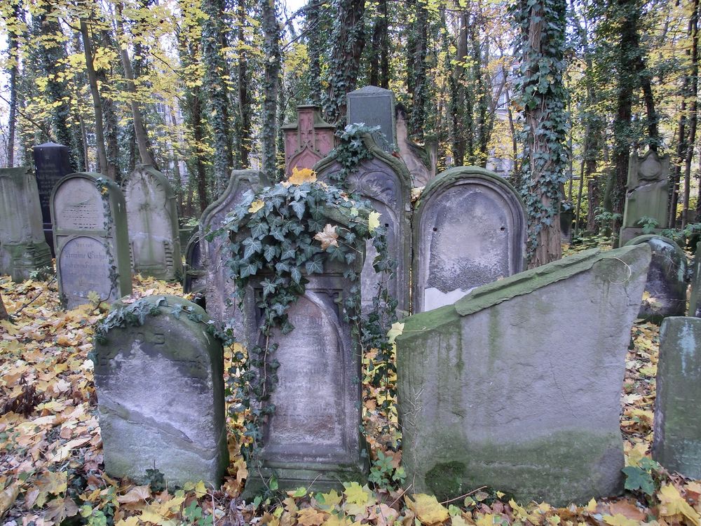 Jüdischer Friedhof Fürth/Bayern Foto & Bild reportage dokumentation