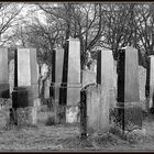 Jüdischer Friedhof Georgensgmünd 12